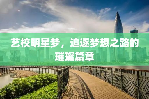 艺校明星梦，追逐梦想之路的璀璨篇章