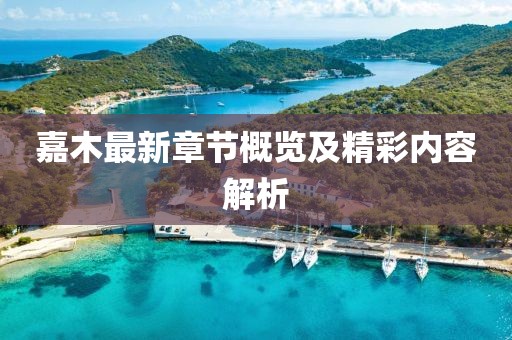 嘉木最新章节概览及精彩内容解析