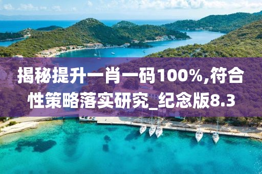 揭秘提升一肖一码100%,符合性策略落实研究_纪念版8.3