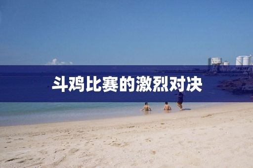 斗鸡比赛的激烈对决