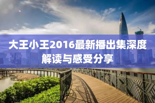 大王小王2016最新播出集深度解读与感受分享