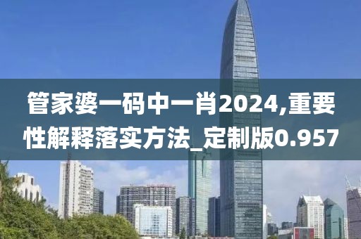 管家婆一码中一肖2024,重要性解释落实方法_定制版0.957