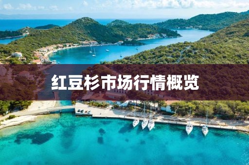 红豆杉市场行情概览