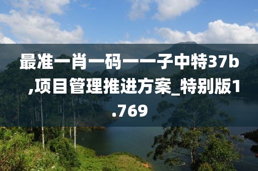 最准一肖一码一一子中特37b  ,项目管理推进方案_特别版1.769