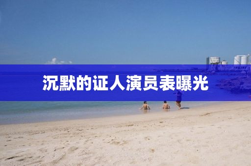沉默的证人演员表曝光