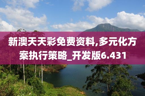 新澳天天彩免费资料,多元化方案执行策略_开发版6.431