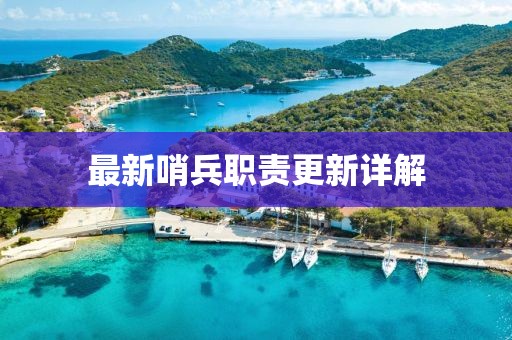 最新哨兵职责更新详解