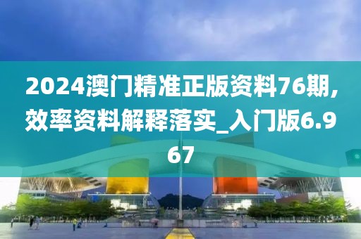 2024澳门精准正版资料76期,效率资料解释落实_入门版6.967