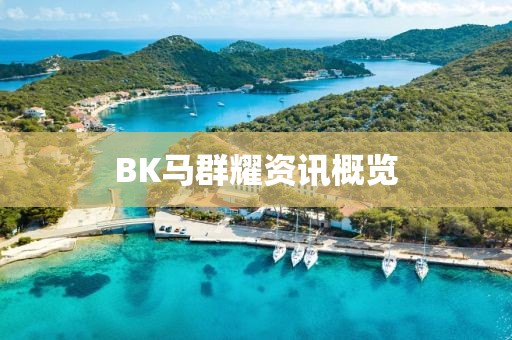 BK马群耀资讯概览