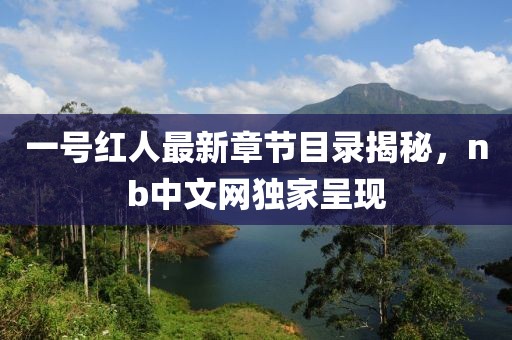 一号红人最新章节目录揭秘，nb中文网独家呈现