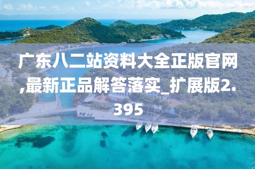 广东八二站资料大全正版官网,最新正品解答落实_扩展版2.395