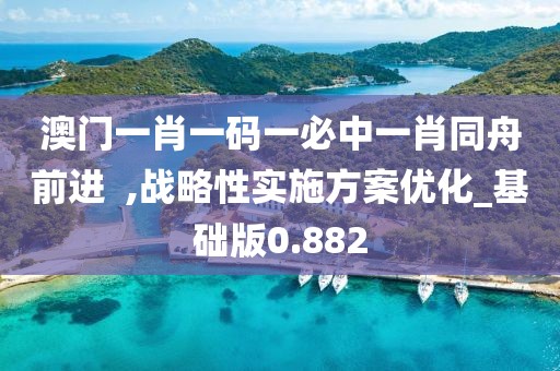 澳门一肖一码一必中一肖同舟前进  ,战略性实施方案优化_基础版0.882