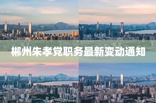 郴州朱孝党职务最新变动通知
