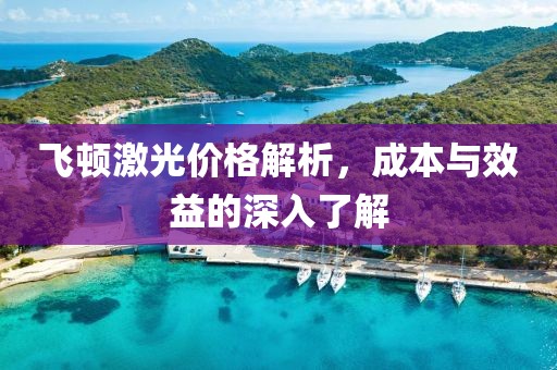 飞顿激光价格解析，成本与效益的深入了解