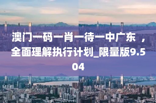 澳门一码一肖一待一中广东  ,全面理解执行计划_限量版9.504