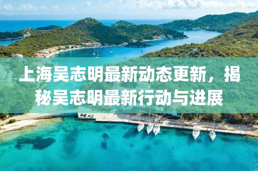 上海吴志明最新动态更新，揭秘吴志明最新行动与进展