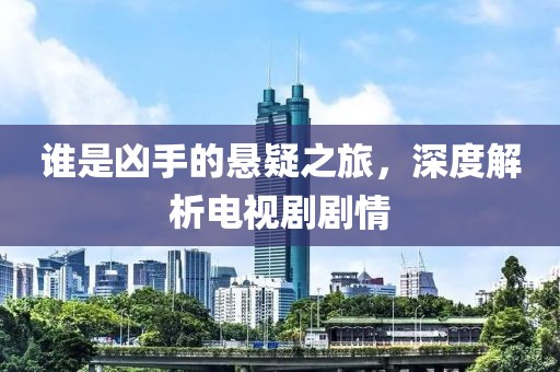 谁是凶手的悬疑之旅，深度解析电视剧剧情