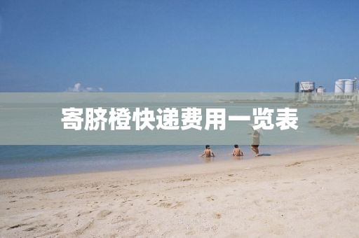 寄脐橙快递费用一览表