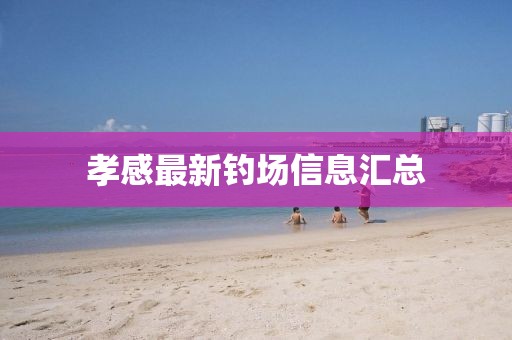 孝感最新钓场信息汇总