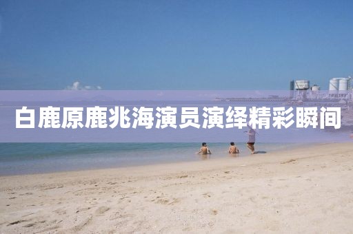 白鹿原鹿兆海演员演绎精彩瞬间