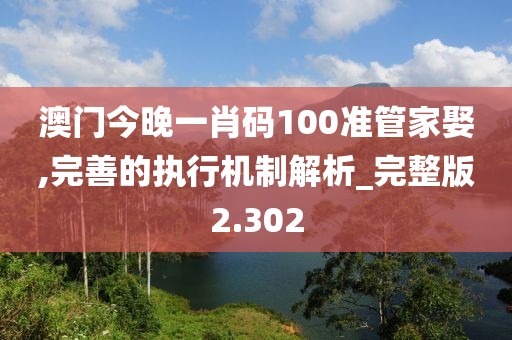 澳门今晚一肖码100准管家娶,完善的执行机制解析_完整版2.302