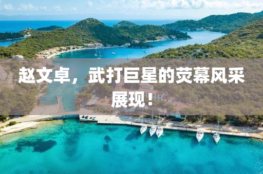 赵文卓，武打巨星的荧幕风采展现！