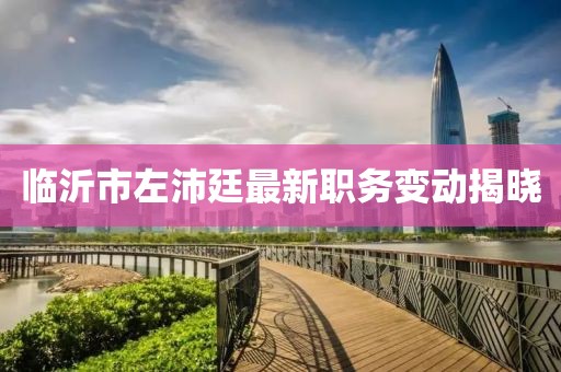 临沂市左沛廷最新职务变动揭晓