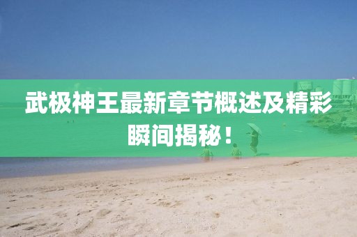武极神王最新章节概述及精彩瞬间揭秘！