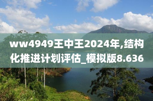 ww4949王中王2024年,结构化推进计划评估_模拟版8.636
