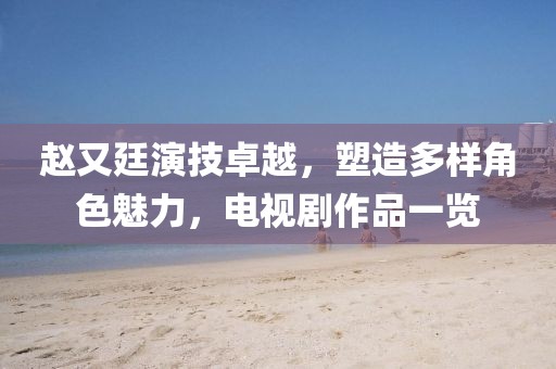 赵又廷演技卓越，塑造多样角色魅力，电视剧作品一览