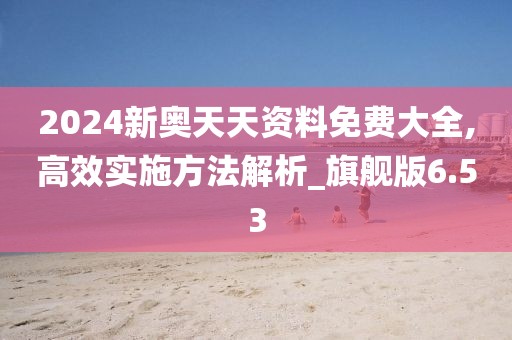 2024新奥天天资料免费大全,高效实施方法解析_旗舰版6.53