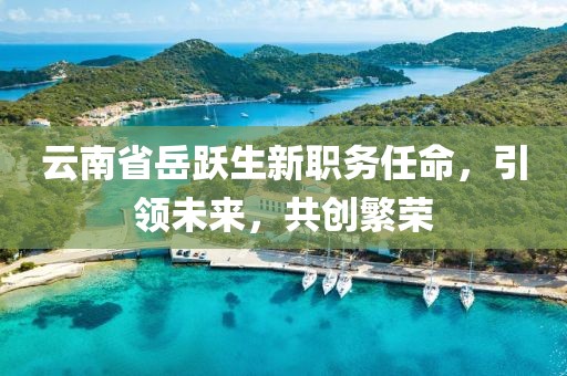 云南省岳跃生新职务任命，引领未来，共创繁荣