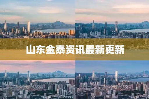 山东金泰资讯最新更新