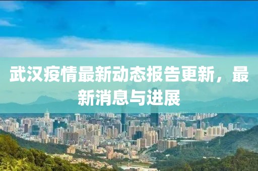 武汉疫情最新动态报告更新，最新消息与进展