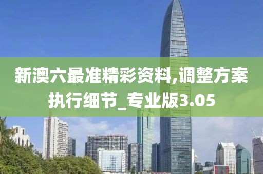 新澳六最准精彩资料,调整方案执行细节_专业版3.05