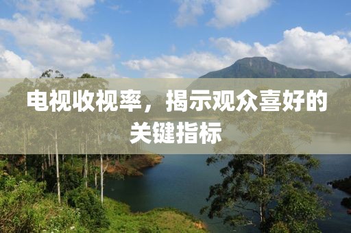 电视收视率，揭示观众喜好的关键指标