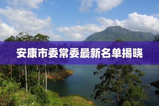 安康市委常委最新名单揭晓