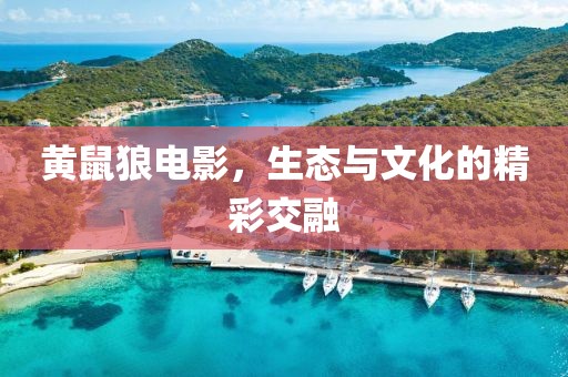 黄鼠狼电影，生态与文化的精彩交融