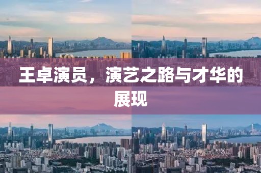 王卓演员，演艺之路与才华的展现