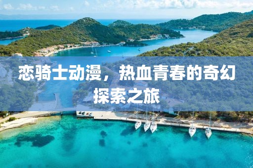 恋骑士动漫，热血青春的奇幻探索之旅