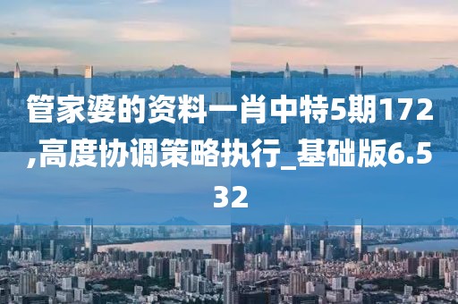 管家婆的资料一肖中特5期172,高度协调策略执行_基础版6.532