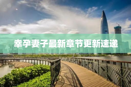幸孕妻子最新章节更新速递