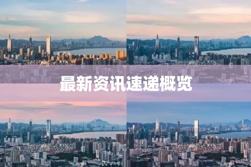 最新资讯速递概览
