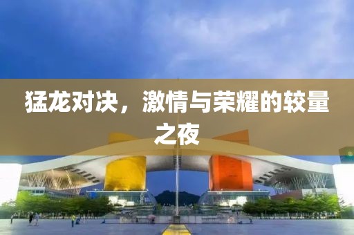 猛龙对决，激情与荣耀的较量之夜
