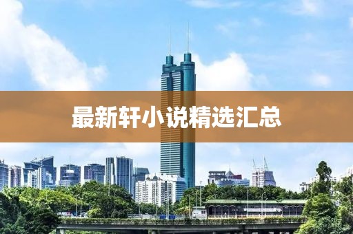 最新轩小说精选汇总