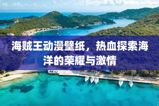 海贼王动漫壁纸，热血探索海洋的荣耀与激情