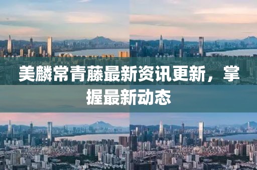美麟常青藤最新资讯更新，掌握最新动态