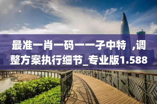最准一肖一码一一孑中特  ,调整方案执行细节_专业版1.588