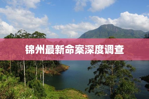 锦州最新命案深度调查