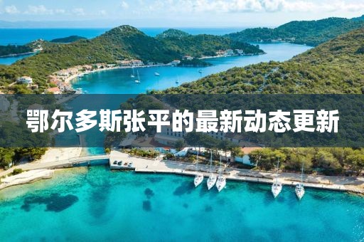 鄂尔多斯张平的最新动态更新